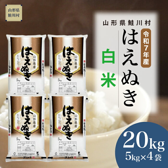 【ふるさと納税】＜令和7年産米＞ 鮭川村 はえぬき 【白米】20kg （5kg×4袋）＜配送時期選べます＞