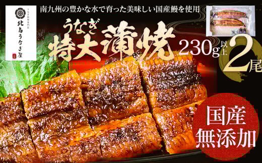 【丑の日2回目にお届け】うなぎの特大蒲焼（2尾）230g以上×2尾　AE04-u2