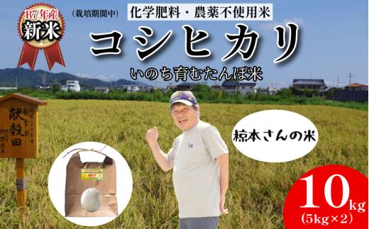 【令和7年産新米】米 コシヒカリ 10kg 天皇献上米 (栽培期間中）化学肥料・農薬不使用米 白米 精米 こめ  ご飯 備蓄米 ごはん 新米  環境 に優しい 小松島市 上王子特質米 10kg