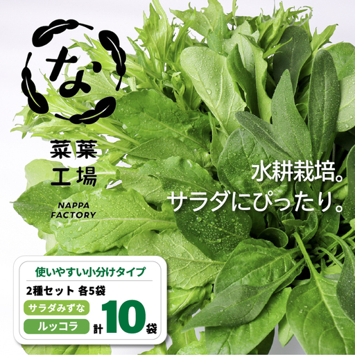 2種セット サラダみずな ルッコラ サラダセット | 水菜 水耕 栽培 新鮮 葉物 野菜 ドレッシング 南国市