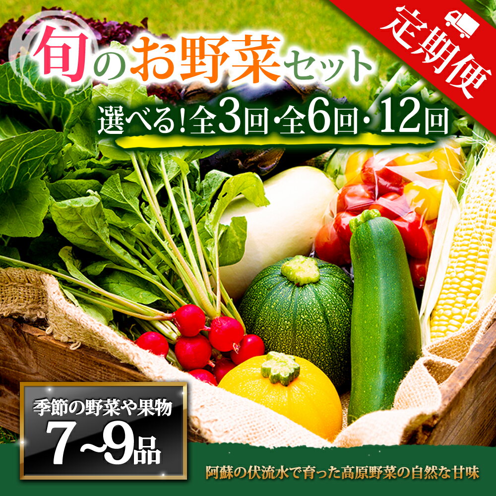 【ふるさと納税】【定期便】畑から直送 季節のお野菜セット Lサイズ 3回 6回 12回 定期便 野菜 7〜9品 定期便 ふるさと納税 全6回 全12回 詰め合わせ セット 新鮮 減農薬 高原 旬 産地直送 野菜 果物 フルーツ 採れたて 甘い 美味しい 人気 安心 安全 熊本県 阿蘇市