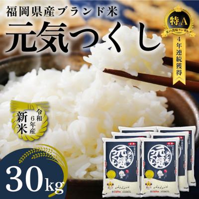 ふるさと納税 那珂川市 新米!!令和6年産 福岡県産米 元気つくし 合計30kg(5kg×6袋)(那珂川市) | 