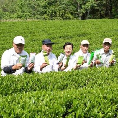 ふるさと納税 朝来市 【農薬不使用】朝来みどり お茶セット　各2袋入 |  | 02