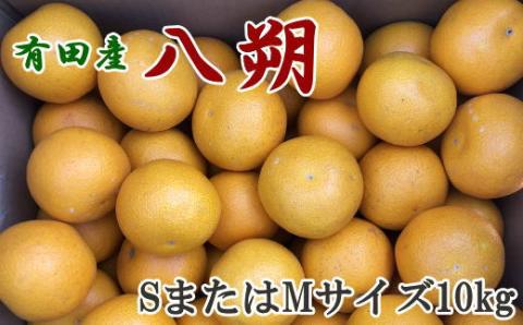 【手選果】有田産の八朔10kg（SまたはMサイズいずれかお届け）＜2027年1月下旬～2027年2月下旬頃に順次発送＞【tec845A】