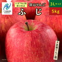 【ふるさと納税】 《2024年11月下旬以降順次》羽山のりんご　ふじ3Lサイズ5kg りんご 果物 フルーツ 羽山りんご 5kg ふじ 人気 くだもの おすすめ お中元 お歳暮 ギフト 二本松市 ふくしま 福島県 送料無料 【斎藤りんご園】