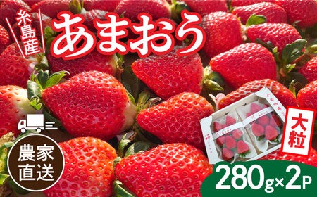 【先行予約】【農家直送！】糸島産あまおう 280g×2パック (DXおよびGサイズ) 【2025年12月以降順次発送】糸島市 / 後藤農園 [AML001] いちご 福岡