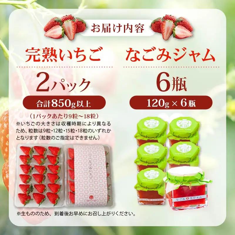 【2027年4月発送】いちご 完熟 2パック なごみジャム 6個 セット 紅ほっぺ