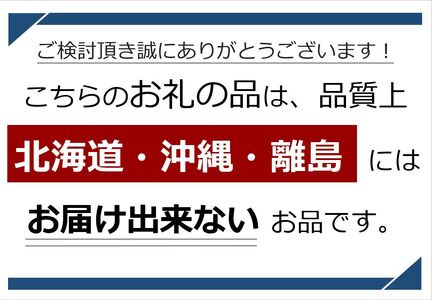 【先行予約】贈答用 信州産 葡萄【詰め合わせ】2房 【シャインマスカット、クイーンルージュ®】 