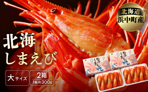 北海しまえび(大)　300g×2箱セット(1箱あたり13尾前後)_H0001-007