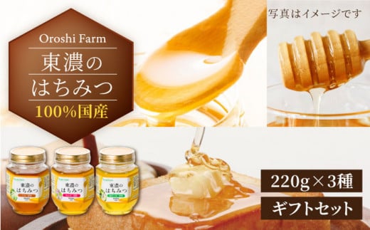 100％国産岐阜の豊かな自然で取れた東濃のはちみつ 220g×3種 計660g（ギフトセット） 天然 国産 非加熱 [MAB002]