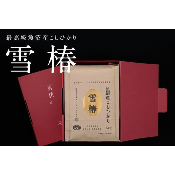 【ふるさと納税】 化粧箱入り 米 5kg 令和7年産 新米 最高級 魚沼産 コシヒカリ 雪椿 特別栽培米 | こしひかり お米 おこめ こめ コメ 白米 精米 ご飯 ごはん ブランド米 おすすめ 人気 新潟県 津南町