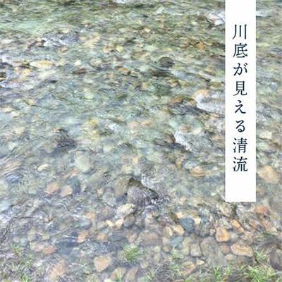 ふるさと納税 浜田市 【令和7年産】《11月より順次発送》石見産きぬむすめ　5kg |  | 02