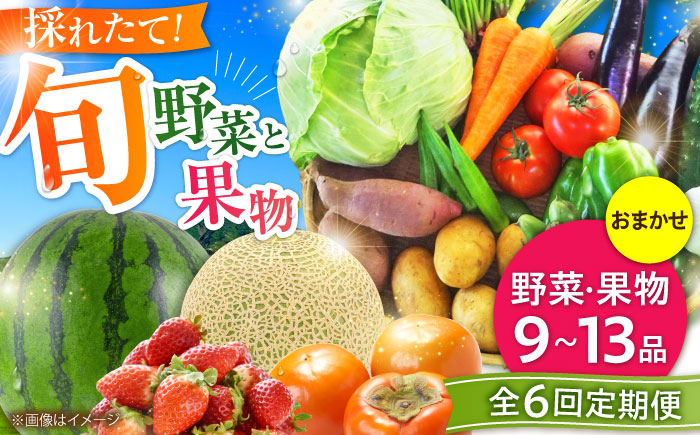 【全6回定期便】菊陽町特産品 「野菜・果物などの詰め合わせ」 / 新鮮 詰合せ フルーツ 野菜セット 旬 おまかせ にんじん 直売所 やさい くだもの 熊本県 特産品 菊陽町【有限会社さんふれあ】 [BHAK008]