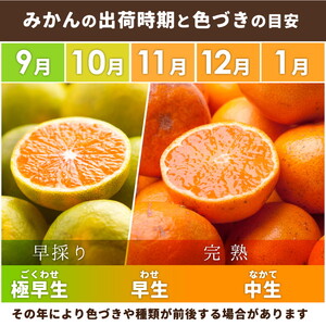 〈定期便〉【10・11・12月 全3回】家庭用 有田みかん定期便 1kg+250g（傷み補償分）※北海道・沖縄・離島への配送不可