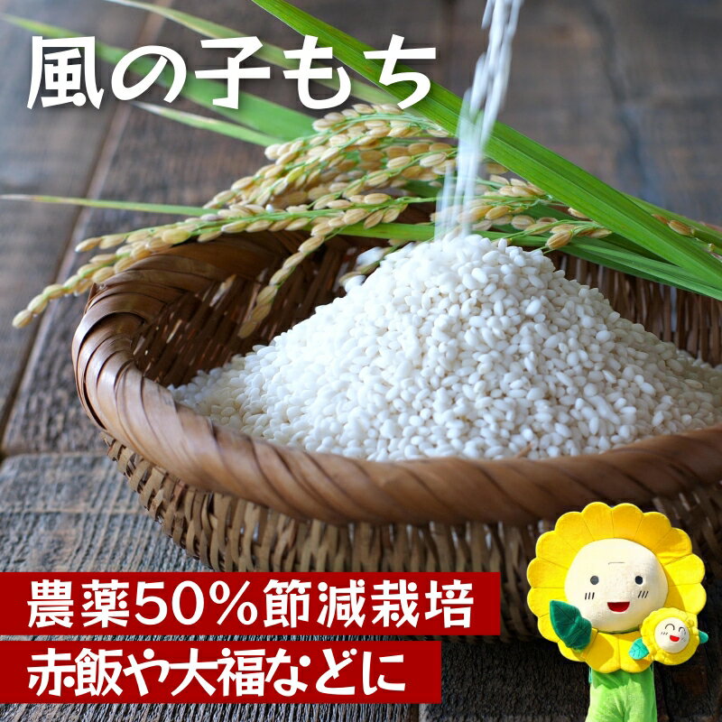 【ふるさと納税】 風の子もち もち米 新米 ※11月～順次発送 //rice