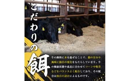 牛肉 切り落とし 約1kg 【牛肉】 【ho1448】