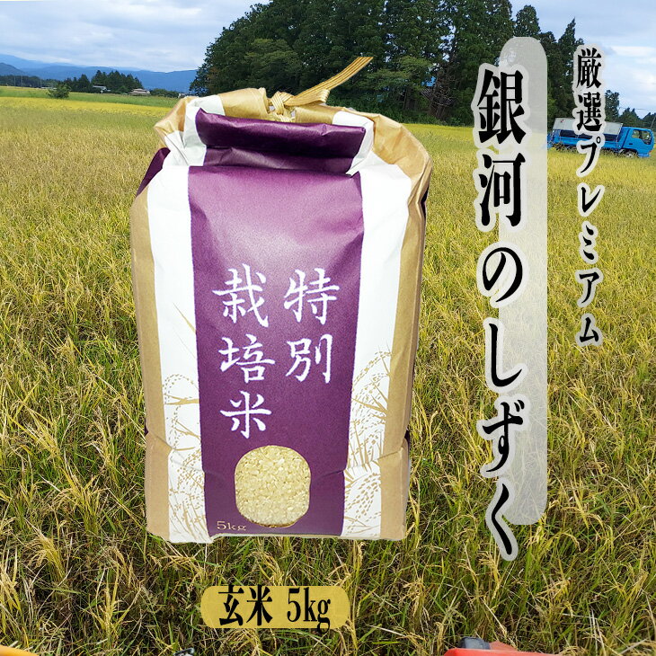 【ふるさと納税】〈令和7年産〉銀河のしずく 厳選プレミアム 玄米 5kg ブランド米 岩手県 花巻市