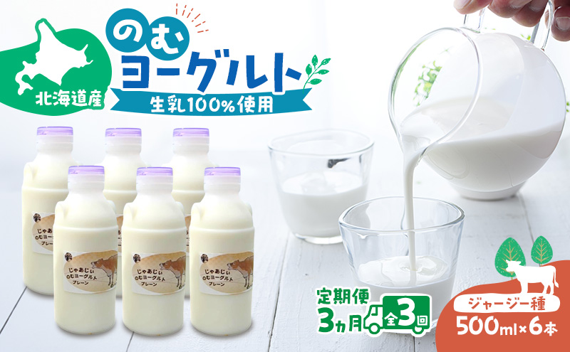 定期便 3ヵ月連続 全3回 のむヨーグルト 生乳100%使用 500ml×6
