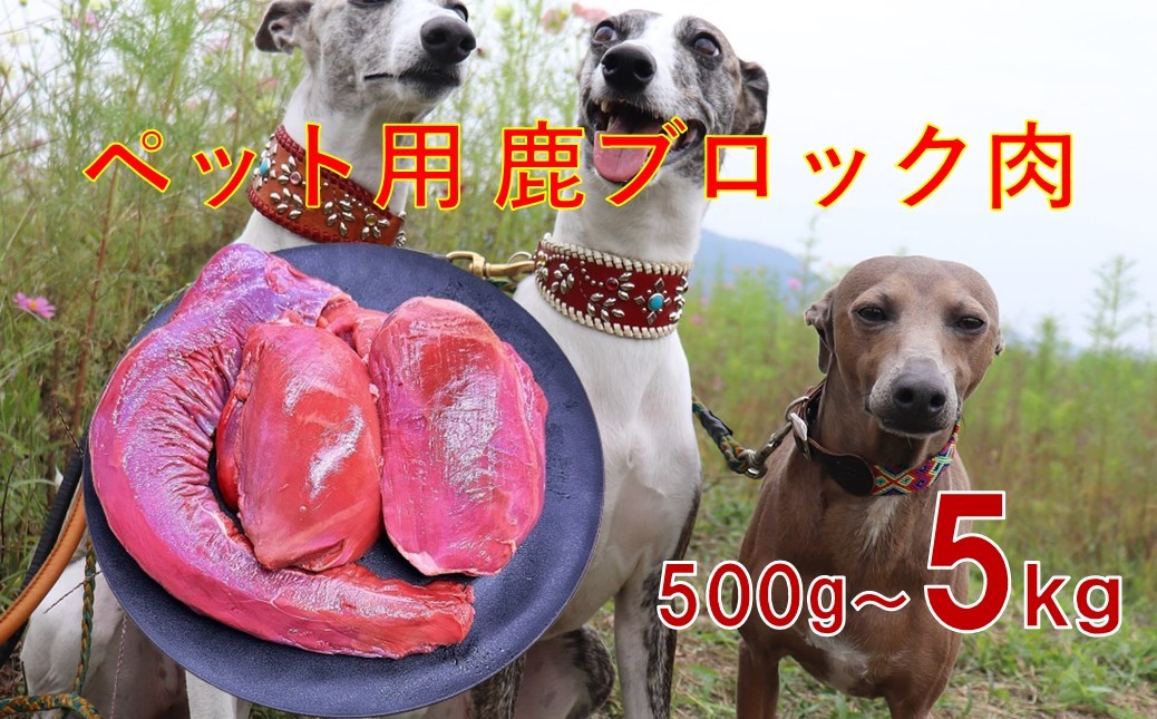 
                  【ﾍﾟｯﾄ用】鹿 ブロック肉 部位おまかせ 500g・1kg・5kg 無添加 真空冷凍 新鮮 大型犬 小型犬 中型犬 わんぱく ペットフード 
                