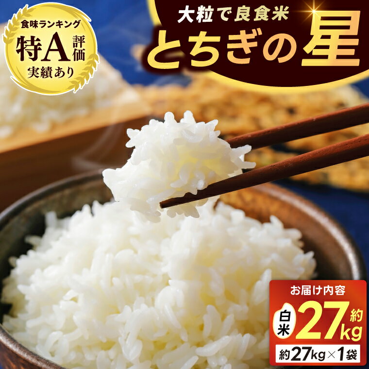 【ふるさと納税】山崎観光農園のお米　＼とちぎの星　白米27kg／｜栃木県 益子町 ふるさと納税 お米 大容量 米 白米 精米 約27kg（AU040）