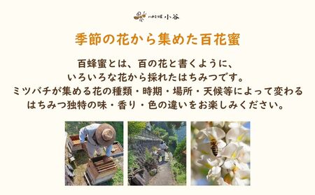 ハチミツ屋小谷 はちみつ 夏セット／ 百花蜜 国産 純粋 蜂蜜 ハチミツ ハニー 非加熱 無精製 贈答用 贈り物 奈良県 宇陀市 ふるさと納税