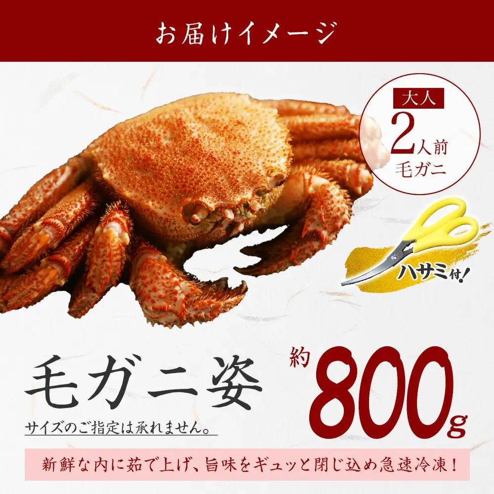 ボイル毛蟹姿 800g 食べ方ガイド・専用ハサミ付 カニ かに 蟹 海鮮 送料無料 北海道 弟子屈町 3302