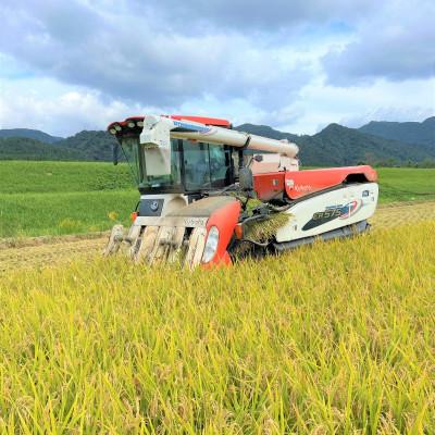 ふるさと納税 関川村 【毎月定期便】炊きたてつやつや 新潟関川村産 岩船米こしひかり　精米 5kg [星山米店]全6回 |  | 03