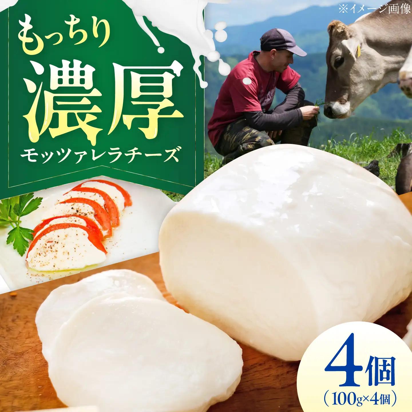 チーズ モッツァレラチーズ 4個セット BKAH008
