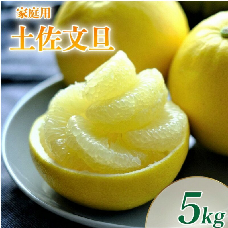 【ふるさと納税】 土佐文旦 5kg L〜3L ご家庭用 高知 黒潮町 文旦 ぶんたん 柑橘 フルーツ 果物 文旦5kg 家庭用文旦 9〜12個 産地直送 citrus 高知県 黒潮町