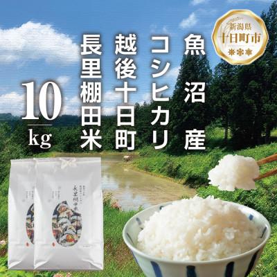 ふるさと納税 十日町市 魚沼産 コシヒカリ 長里 棚田米 10kg 新潟県十日町市