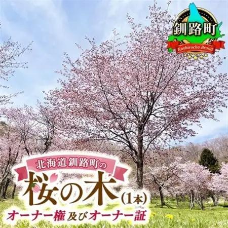 北海道釧路町の桜の木(1本)のオーナー権及びオーナー証＜ふるさと納税 自然 保護＞【1179225】