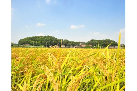 No.025 阿久比米れんげちゃん　計約20kg