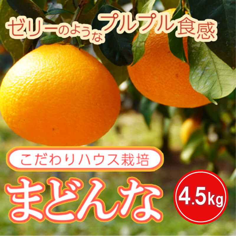 
早期受付 数量限定 まどんな 愛果28号 4.5kg 前田ファーム ハウス栽培 みかん 柑橘 愛媛県 愛南町 発送期間: 11月20日～12月1日
