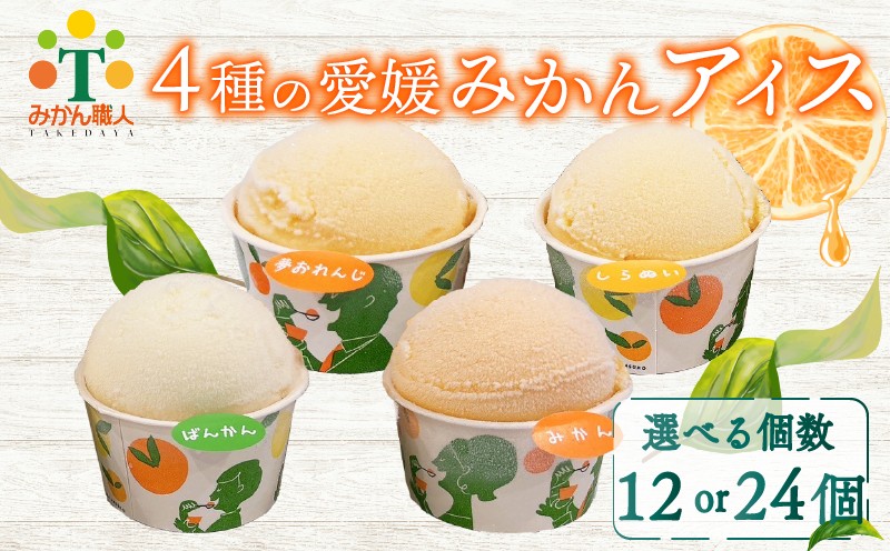 
            【選べる個数】柑橘アイス カップ 12~24個 (4種) 【夢おれんじ 河内晩柑 愛媛みかん しらぬい 】 アイス ジェラート シャーベット ソルベ アイスクリーム ランキング 人気 贈答用 プレゼント 訳あり ワケアリ 家庭用 みかん 柑橘 かんきつ まどんな 愛果28号 愛南ゴールド 不知火 デコポン ぽんかん 冷凍 冷凍みかん 冬 夏 みかん職人武田屋 愛媛県 愛南町
          