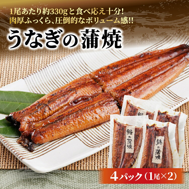 【ふるさと納税】うなぎの蒲焼 約165g×4パック _c-133