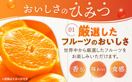 たらみのどっさり みかん 230g (1箱 6個入)　