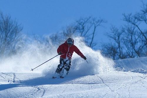 新潟県ANAトラベラーズダイナミックパッケージ割引クーポン15,000点分