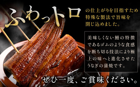AD166.うなぎ蒲焼き（約100g×7Pセット）