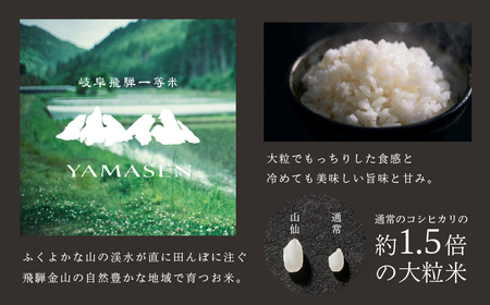 （新米予約受付）令和6年産米【定期便】山仙（いのちの壱）2kg×6回 定期 すがたらいす 下呂市金山産 2024年産 毎月 2キロ×6カ月 お米 精米 コシヒカリ 下呂温泉 下呂市 米【51-I】