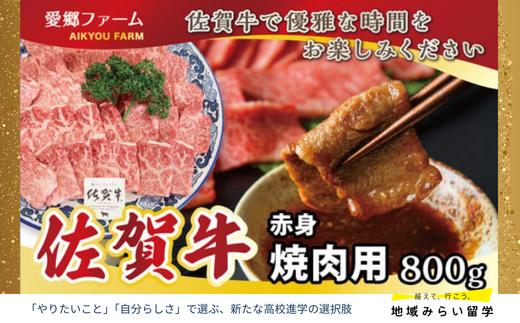 
            【愛郷ファーム】佐賀牛赤身焼肉用 800g
          