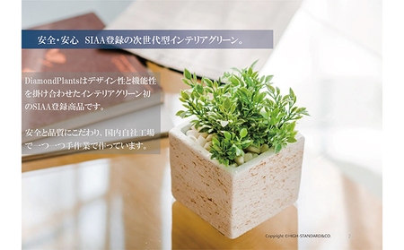 次世代型インテリアグリーン　DiamondPlants　Short【リビング 寝室】 ナノダイヤモンド 触媒 コーティングして 抗菌 抗ウィルス 消臭 防カビ 抗酸化作用 植物  ティーリーフ・ホワイ