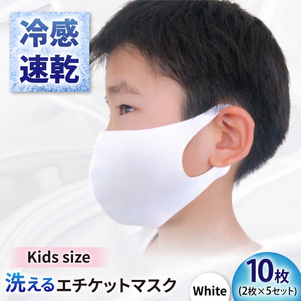 【ふるさと納税】【日本製】マスク エチケットマスク スモールサイズ 10枚(2枚×5セット) 対策 冷感 立体 個包装 国産 不織布 ますく 人気 日用品 消耗品 肌にやさしい キッズ 子ども 小さめ 子供用 衛生用品 ウイルス 備蓄 ストック ギフト 岐阜市 / ビッグ宮田[ANEA007]