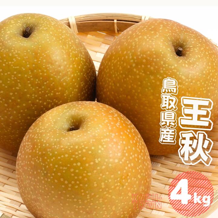 【ふるさと納税】王秋 梨4kg 4～13玉前後 鳥取県産 先行予約受付 2026年秋冬収穫分 なし 4キロ TM40 0695