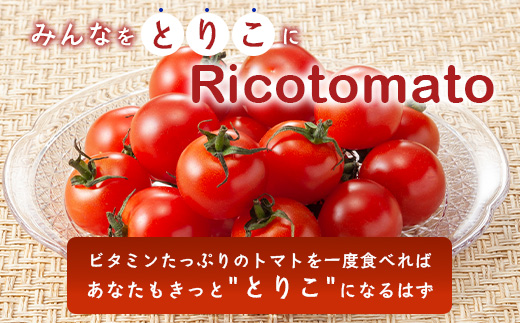 【4回定期便】【先行予約】完熟ミニトマト 【少量パック】120gx3p　たにぐちファーム 完熟ミニトマト 360g とりこになるトマト 野菜 とまと トマト リコピン 佐賀産 佐賀県 鹿島市　E-16