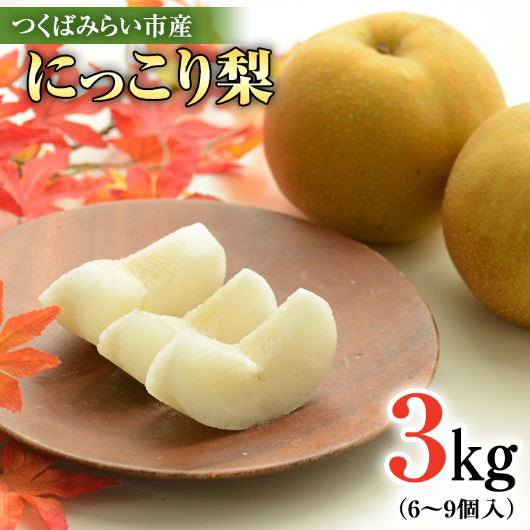 にっこり梨 3kg 【10月発送開始】 梨 ナシ なし 果物 フルーツ 秋 茨城県 デザート 果実 [CZ01-NT]