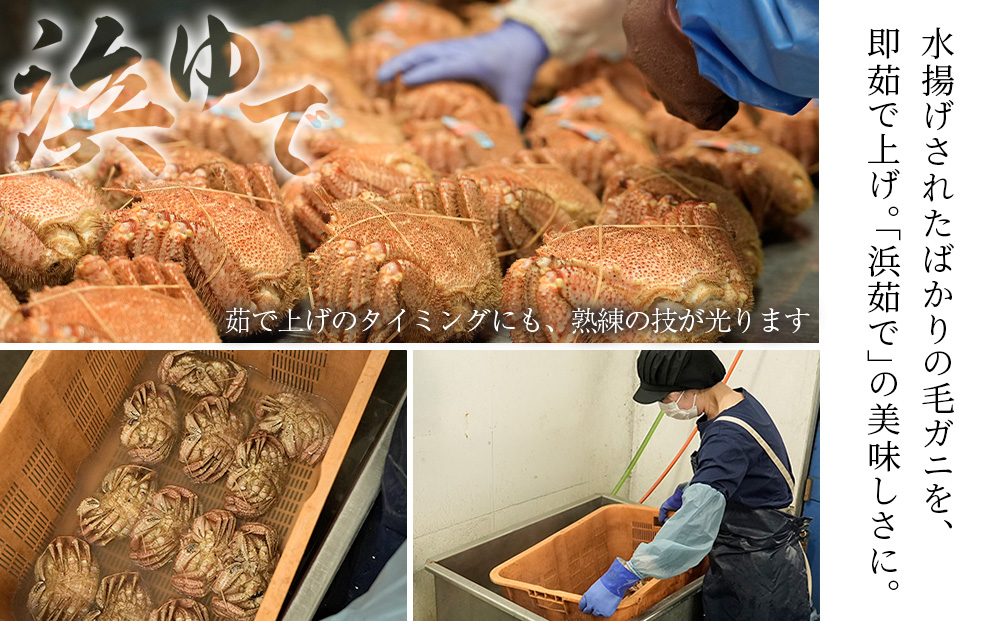 【特大】北海道産 冷凍ボイル毛ガニ (900g-1kg前後) 4尾  蟹 かに カニ 毛ガニ AS122