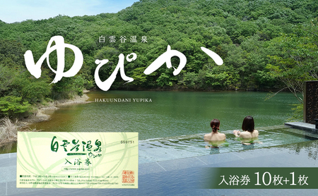 温泉利用券 白雲谷温泉ゆぴか 入浴券 温泉利用券【入浴券10枚+1枚】