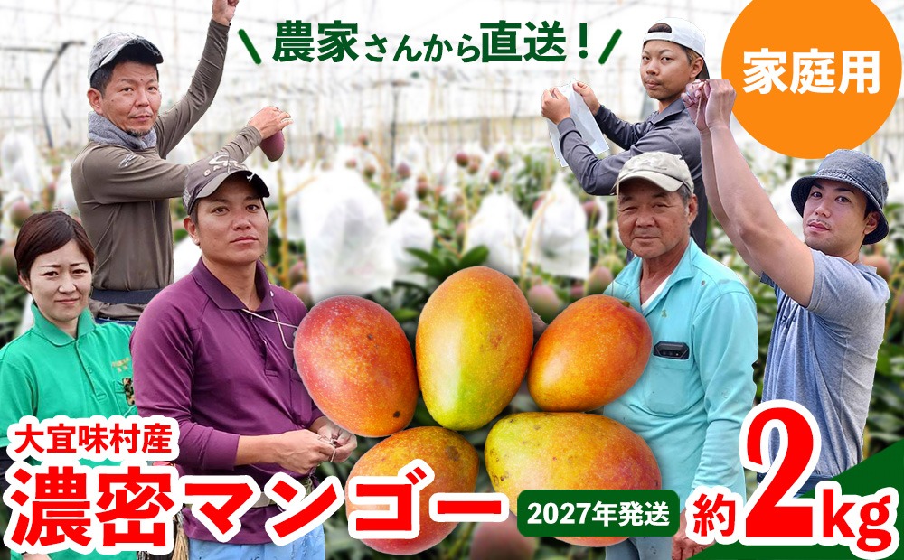 【2027年発送】ご家庭用！濃密マンゴー《家庭用・約2kg》農家さんより直送！