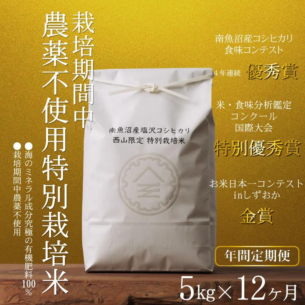 【年間定期便令和8年新米予約】南魚沼食味コンクール4年連続優秀賞　栽培期間中農薬不使用特別栽培米5kg×12回　南魚沼塩沢産コシヒカリ【2026年10月中旬から1ヶ月以内に順次発送予定】｜コシヒカリ