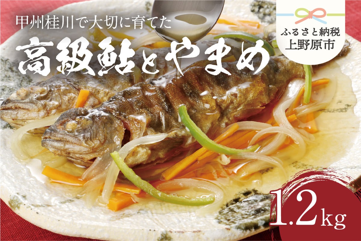 
【一級河川(魚)】甲州桂川の高級鮎（約600g）とやまめ（約600g）セット
